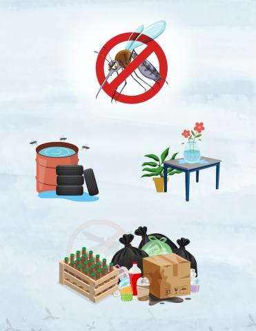 Mosquito Prevention